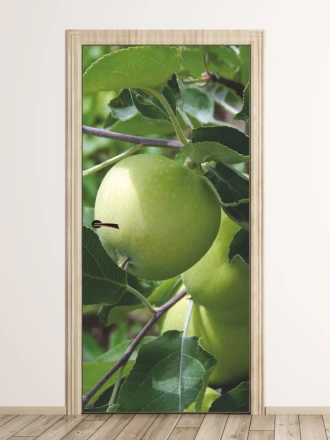 Fototapeta na drzwi jabłoń P469