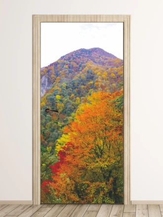Fototapeta na drzwi jesień w górach FP 6076