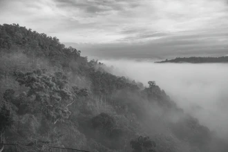 Fototapeta na ścianę góry we mgle FP 6468