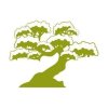 szablon malarski drzewo bonsai 1289