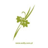 szablon malarski kwiaty 036 