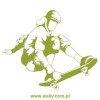 szablon malarski skater 1018 