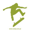 szablon malarski skater 1023