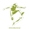 szablon malarski skater 1024 