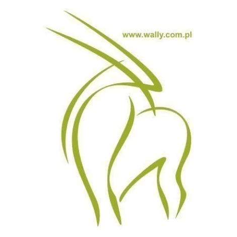 Elegancki szablon malarski kozica 21, idealny do nowoczesnego wnętrza, dodający charakteru ścianom.