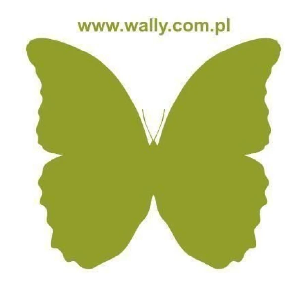 Motyl w odcieniu zieleni, idealny do dekoracji dziecięcego pokoju lub stylowego wnętrza.