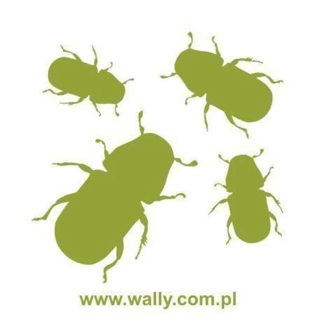 Szablon malarski z motywem żuków w przykładowej zielonej kolorystyce na białym tle