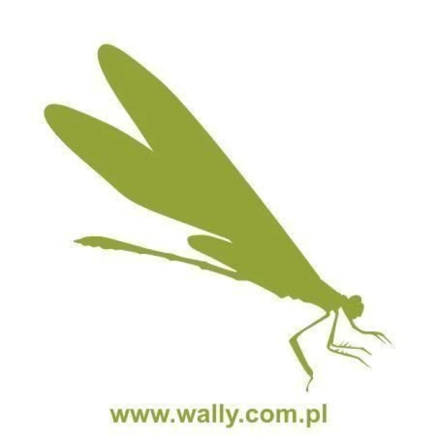 Szablon malarski ważka 1060 - Wzór graficzny. Wzór o kształcie ważki z wydłużonymi skrzydłami i smukłym ciałem