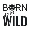 Szablon malarski 02X 03 born to be wild 1709 - Wzór graficzny. Duże litery z napisem BORN i WILD, z symbolem steru w tle