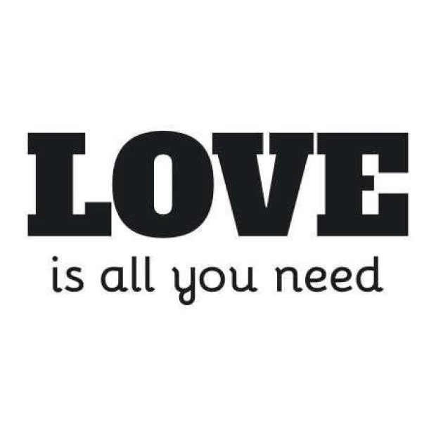 Szablon malarski 02X 18 love is all you need 1723 - Wzór graficzny. Napisy w różnych stylach, duże litery oraz mniejsze