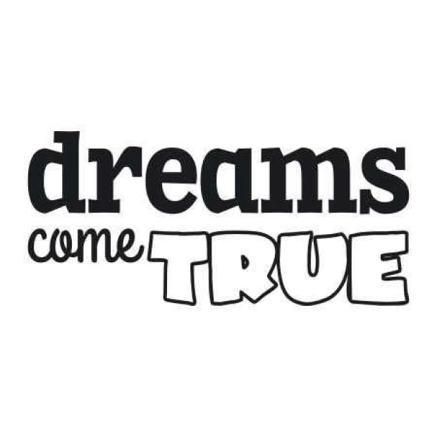 Naklejka 03X 24 dreams come true 1718 - Wzór graficzny. Tekst dreams come true w różnych stylach liter