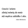 Szablon malarski 02X 17 cytat: czucie i wiara 1764 - Wzór graficzny. Tekst w dwóch stylach, z różnymi grubościami linii