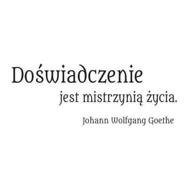 Szablon malarski 02X 19 cytat: doświadczenie 1768 - Wzór graficzny. Tekst w eleganckiej czcionce, z wyraźnymi literami