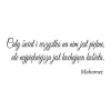 Naklejka 03X 25 cytat: cały świat 1760 - Wzór graficzny. Tekst w eleganckiej, kursywnej czcionce na białym tle
