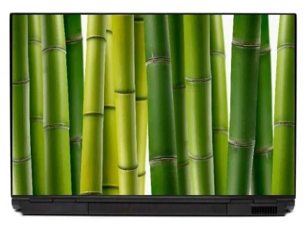 Naklejka na laptopa bambus 0032