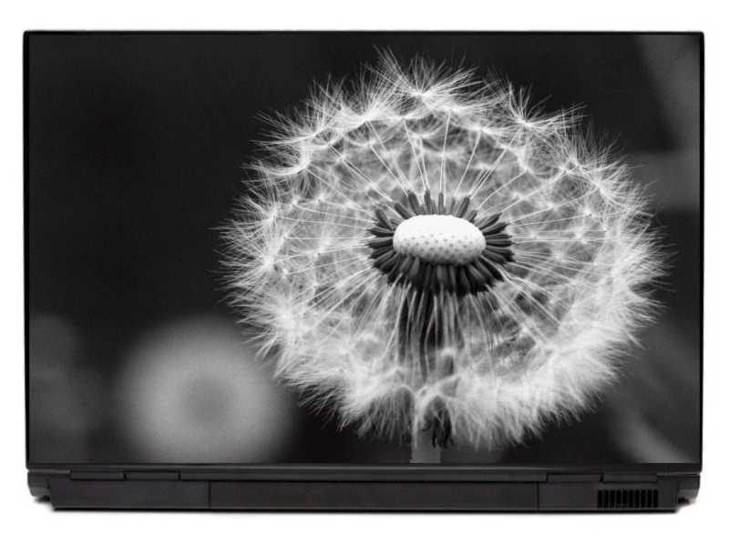 Naklejka na laptopa dmuchawiec 0041