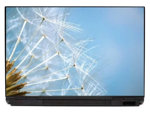 Naklejka na laptopa dmuchawiec 0057 - Wzór graficzny. Kuleczki dmuchawca na jasnym tle z niebieskimi akcentami