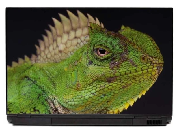 Naklejka na laptopa iguana 0047 - Wzór graficzny. Zielona iguana z wyraźnymi łuskami i ostrymi kolcami na grzbiecie