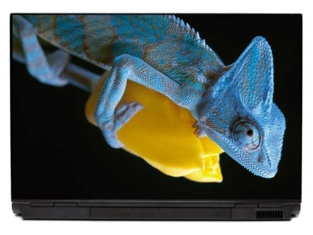 Naklejka na laptopa kameleon 0049 - Wzór graficzny. Kameleon w odcieniach niebieskiego z żółtym tłem