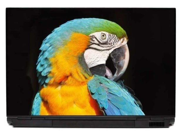 Naklejka na laptopa papuga 0055 - Wzór graficzny. Przedstawia papugę z kolorowym upierzeniem i wyraźnym okiem