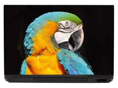 Naklejka na laptopa papuga 0055 - Wzór graficzny. Przedstawia papugę z kolorowym upierzeniem i wyraźnym okiem