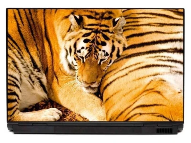 Naklejka na klapę laptopa z realistycznym nadrukiem leżącego tygrysa w pomarańczowo-czarne pasy
