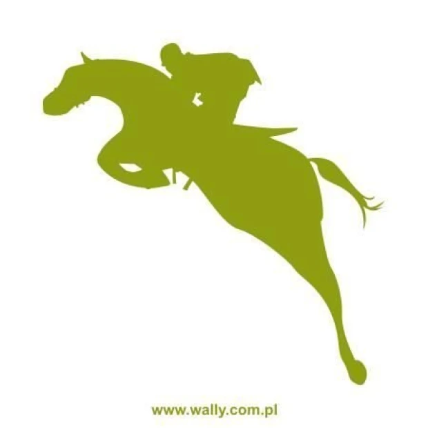 Szablon malarski jeździec 1158 - Wzór graficzny. Postać jeźdźca w skoku na koniu, dynamiczne linie i kształty