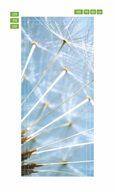Fototapeta na drzwi dmuchawiec 165 - Wzór graficzny. Przezroczyste włókna dmuchawca na jasnym tle