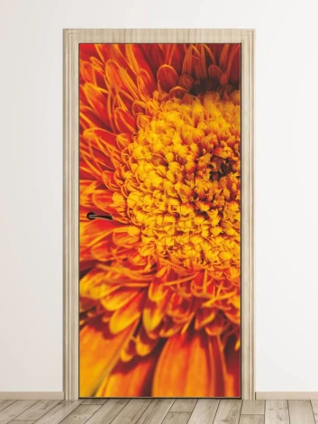 Fototapeta na drzwi gerbera 149 - Wzór graficzny. Duża, pomarańczowa gerbera z wyraźnymi płatkami i detalami