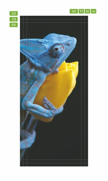 Fototapeta na drzwi z kameleonem w formie infografiki pokazującej linie cięcia dla różnych wymiarów