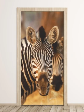Fototapeta na drzwi zebra 136 - Wzór graficzny. Przedstawia zbliżenie głowy zebry z wyraźnymi pasami