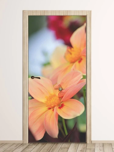 Fototapeta na drzwi kwiaty 99