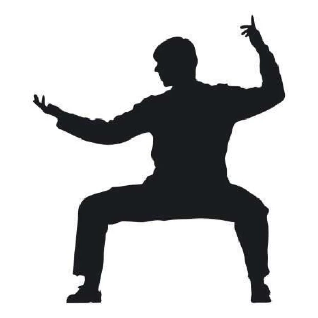 Naklejka 03X 04 karate 1867 - Wzór graficzny. Postać w pozycji karate, w ciemnym kolorze na białym tle