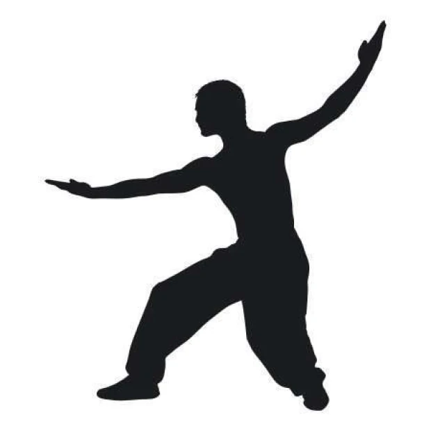 Naklejka 03X 04 karate 1868 - Wzór graficzny. Silhouette mężczyzny w pozycji karate, z wyciągniętymi rękami