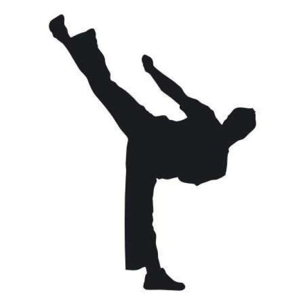 Naklejka 03X 08 karate 1861 - Wzór graficzny. Postać w ruchu wykonująca kopnięcie, w kolorze czarnym na białym tle