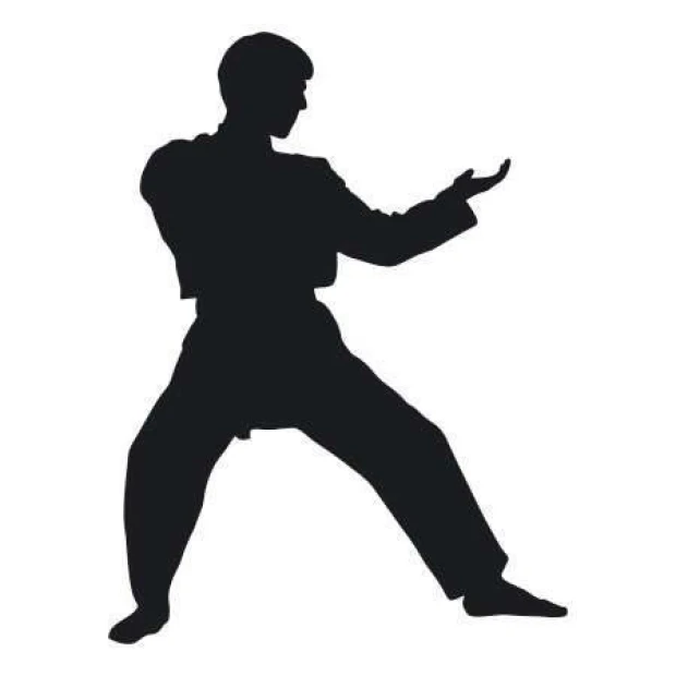 Naklejka 03X 08 karate 1863 - Wzór graficzny. Silhouette postaci w pozycji karate, z wyciągniętymi rękami i nogami