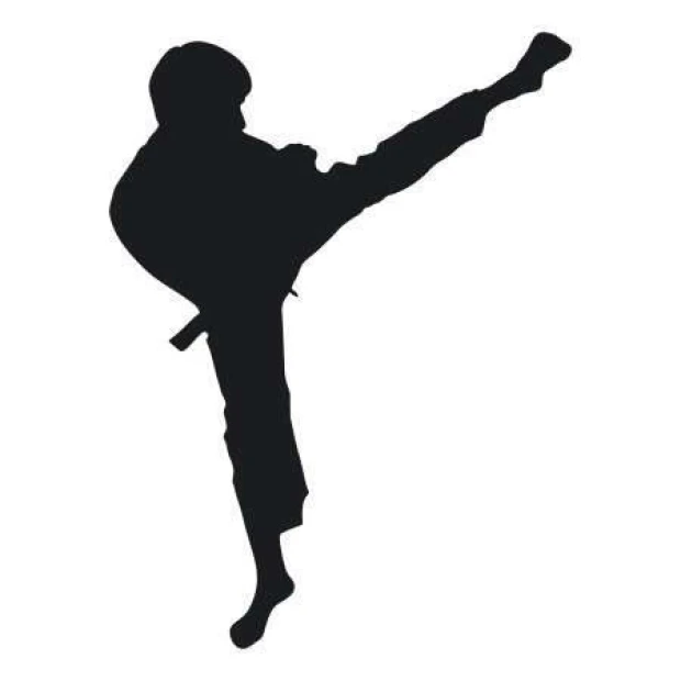 Naklejka 03X 08 karate 1862 - Wzór graficzny. Postać w czerni wykonująca kopnięcie w karate
