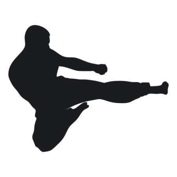 Naklejka 03X 20 karate 1855 - Wzór graficzny. Silhouette karateki w dynamicznej pozie, z uniesioną nogą i zaciśniętą pięścią
