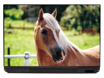 Naklejka na laptopa koń P147