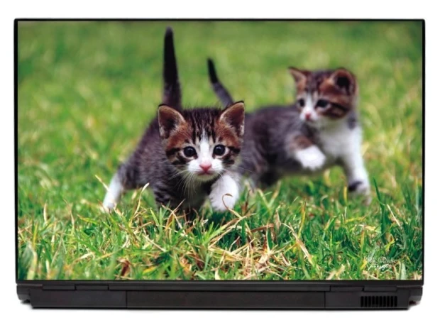 Naklejka na laptopa kot P125 - Wzór graficzny. Dwa kotki biegają po zielonej trawie, z wyraźnymi detalami futra