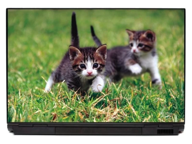 Naklejka na laptopa kot P125 - Wzór graficzny. Dwa kotki biegają po zielonej trawie, z wyraźnymi detalami futra