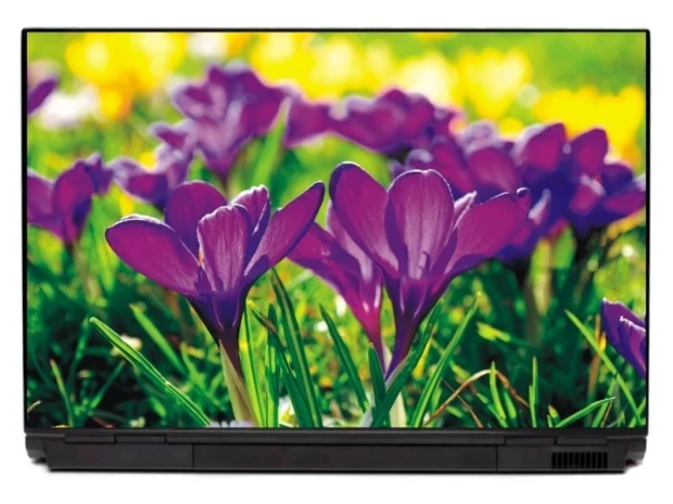 Naklejka na laptopa krokus P131 - Wzór graficzny. Kwiaty krokusów w intensywnych fioletowych odcieniach na zielonym tle