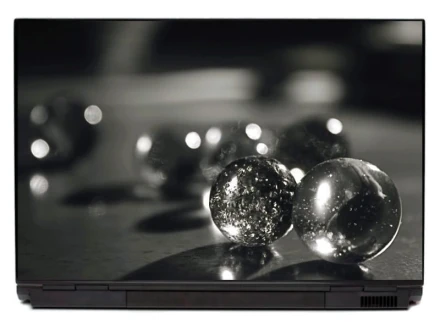 Naklejka na laptopa kula P166