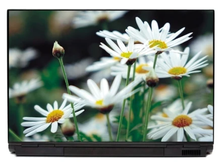 Naklejka na laptopa kwiaty P133