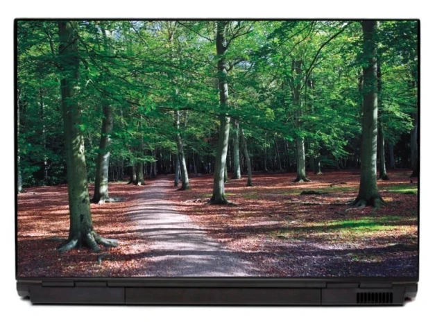 Naklejka na laptopa las bukowy P140 - Wzór graficzny. Grafika przedstawia leśną ścieżkę otoczoną drzewami i opadłymi liśćmi