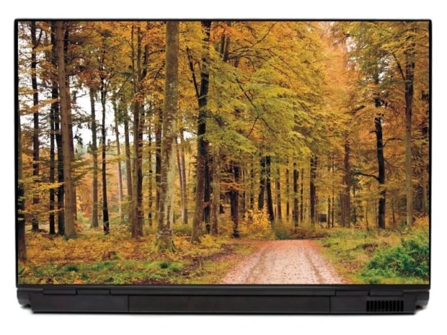 Naklejka na laptopa las P139 - Wzór graficzny. Drzewa w odcieniach zieleni i żółci, kręta ścieżka w lesie