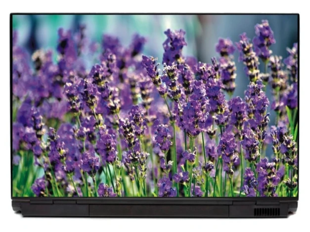 Naklejka na laptopa lawenda P150 - Wzór graficzny. Kwiaty lawendy w odcieniach fioletu na tle zielonych łodyg