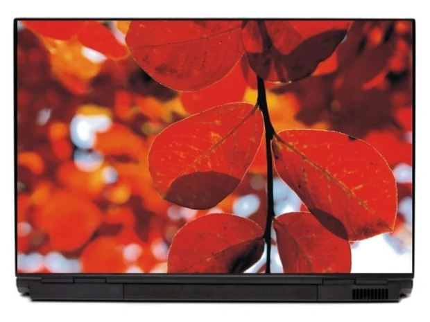 Naklejka na laptopa liście P153 - Wzór graficzny. Czerwone liście na tle rozmytego nieba