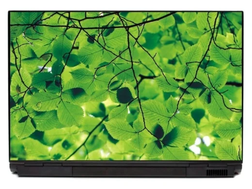 Naklejka na laptopa z fotograficznym motywem gęstych, zielonych liści na gałęziach drzewa