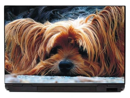 Naklejka na laptopa pies P135